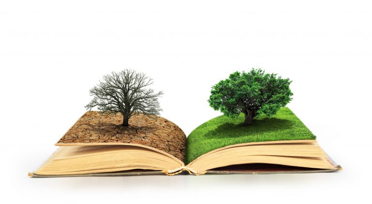 E-Books Effect On The Environment